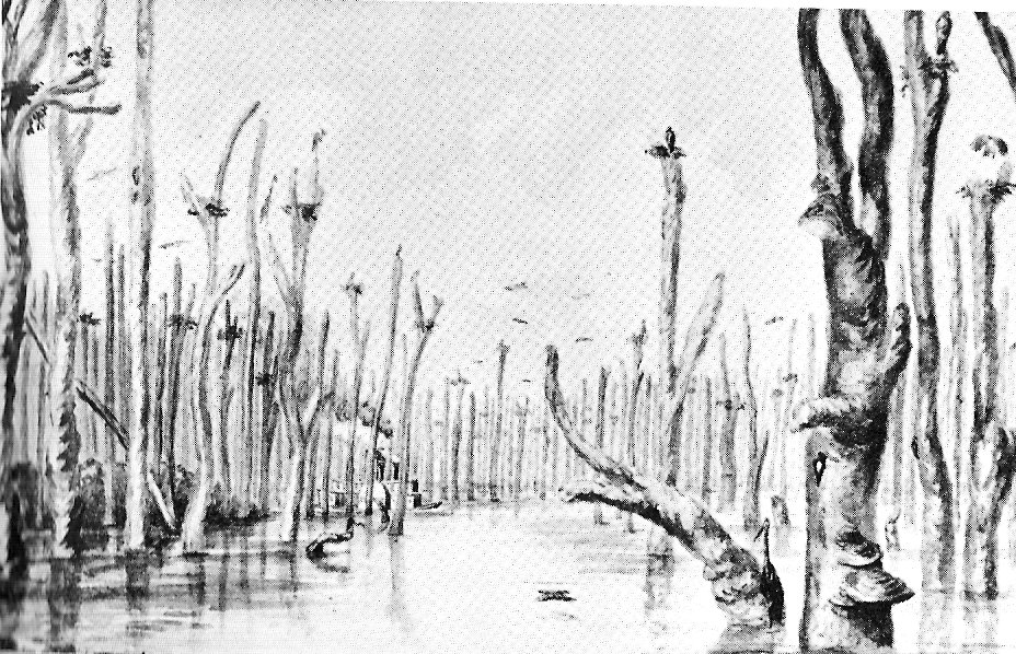 Dow's Great Swamp in 1832