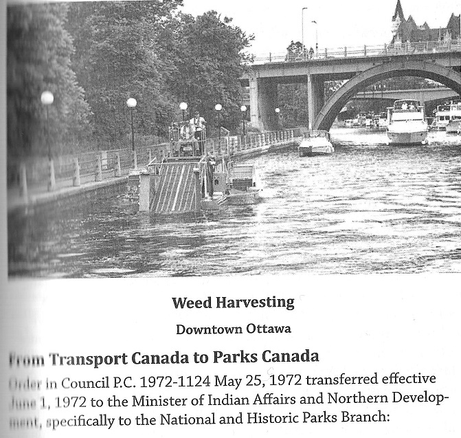 Weed Removal from the Rideau Canal in Downtown Ottawa